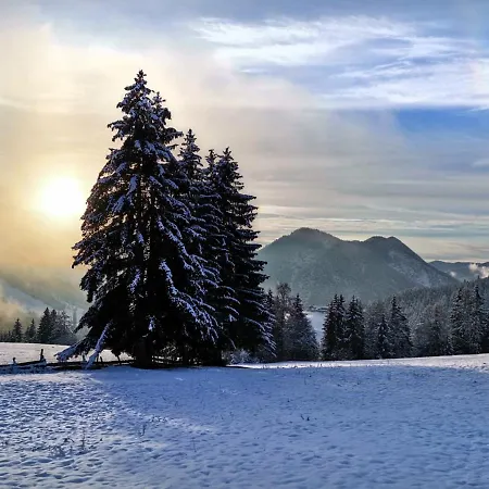 Der Torwirt בית הארחה